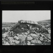 Böhl glass slide 59./1374